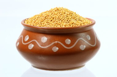 Toprak kap içinde sarı hardal tohumu