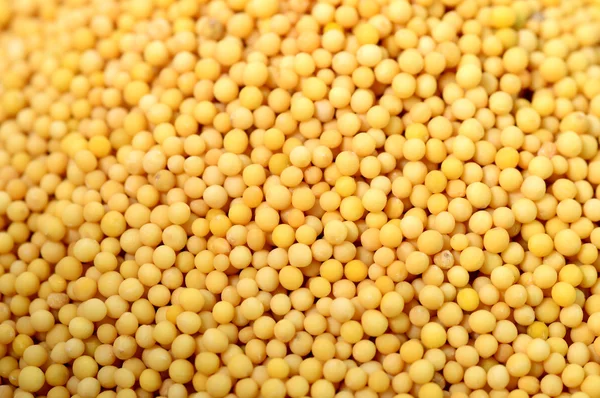 Arka plan olarak sarı hardal tohumu — Stok fotoğraf