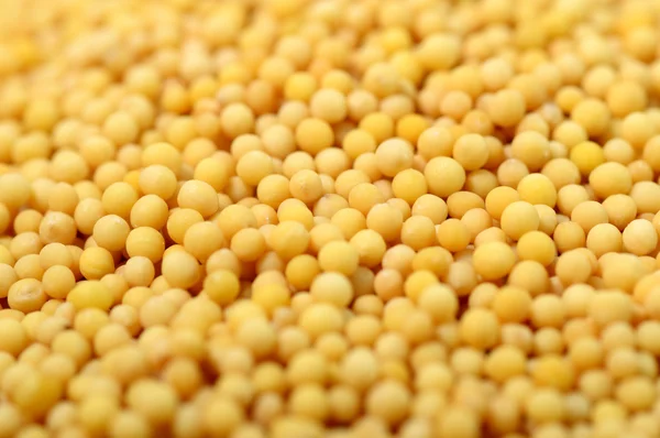 Arka plan olarak sarı hardal tohumu — Stok fotoğraf