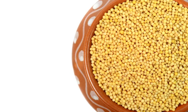 Yellow mustard seeds in clay pot — Stock Photo, Image