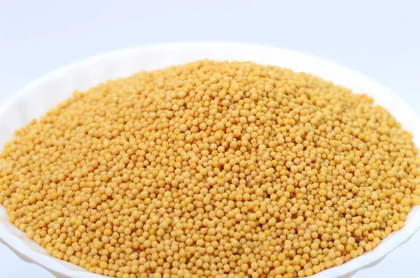 Yellow mustard seeds in plate — Stock Photo, Image