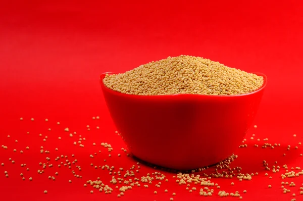 Yellow mustard seeds in red bowl