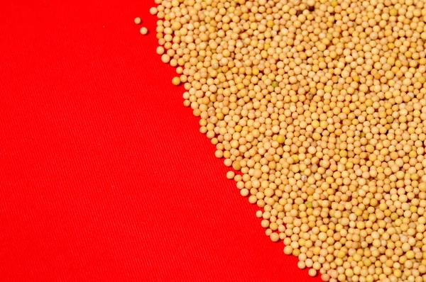 Kırmızı zemin üzerine sarı hardal tohumu — Stok fotoğraf