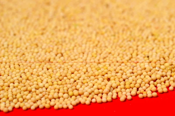 Yellow mustard seeds on red background — Stock Photo, Image