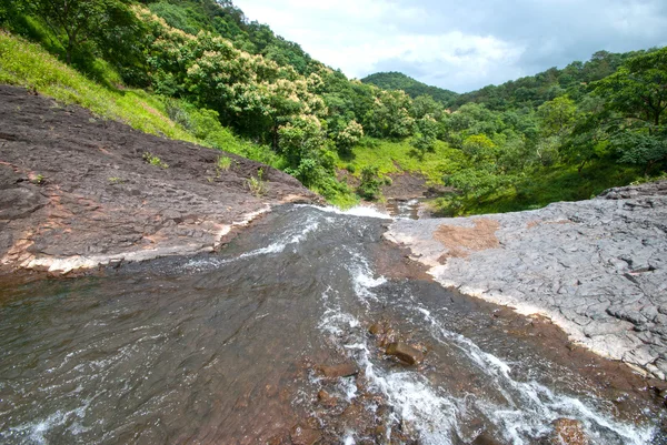 Paysage avec des arbres de montagne et une rivière en face — Photo