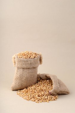 Buğday küçük torbalarda