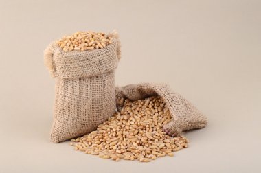 Buğday küçük torbalarda