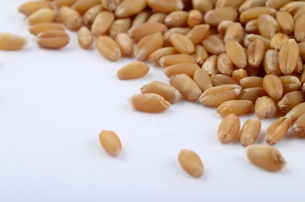 Heap of Wheat grains — Stock Photo, Image