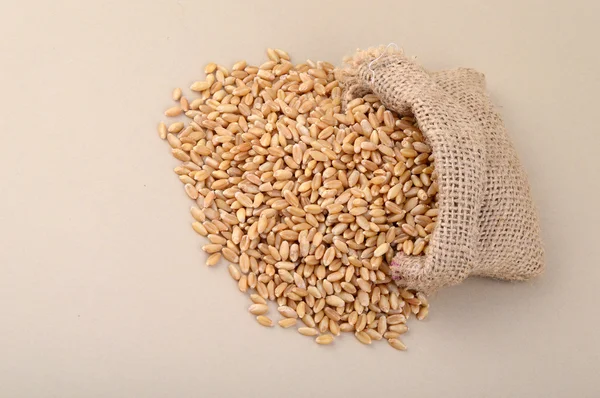 Пшениця в маленькому мішку — стокове фото