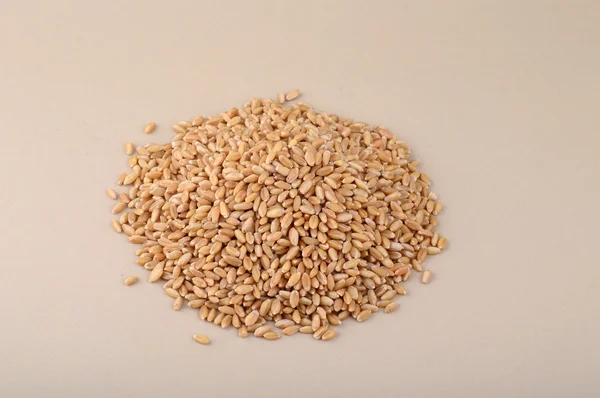 Heap of Wheat grains — Stock Photo, Image