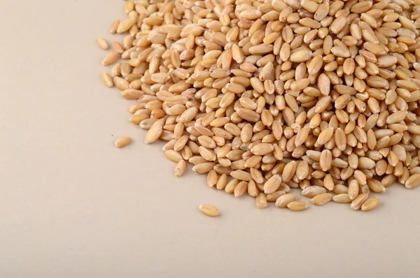 Heap of Wheat grains — Stock Photo, Image