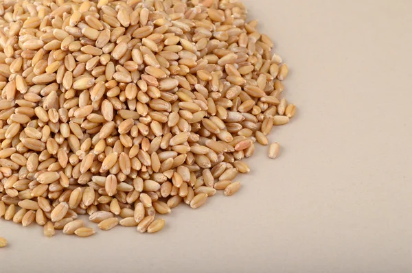 Heap of Wheat grains — Stock Photo, Image