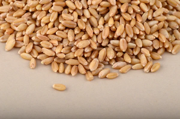 Heap of Wheat grains — Stock Photo, Image