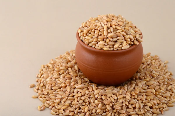 Пшеничные зерна в глиняном горшке с кучей — стоковое фото