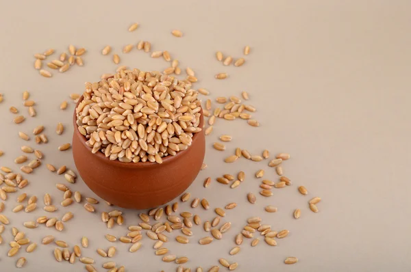 Cereali di grano in vaso di argilla — Foto Stock
