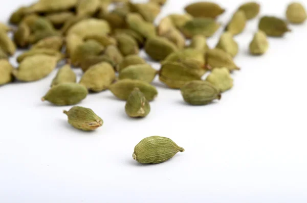 Cardamom — Stock Photo, Image