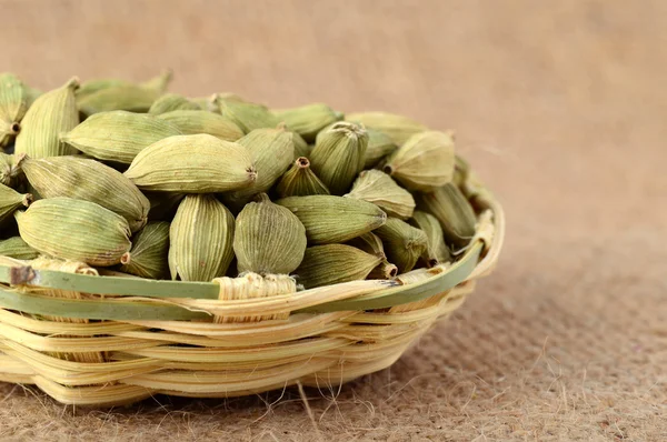 Zelená cardamom lusky — Stock fotografie