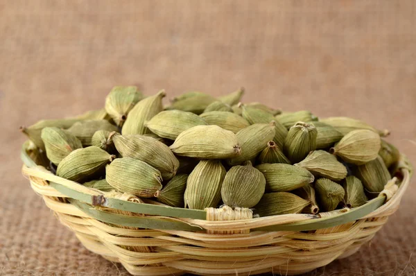 Green Cardamom pods — Stock Photo, Image