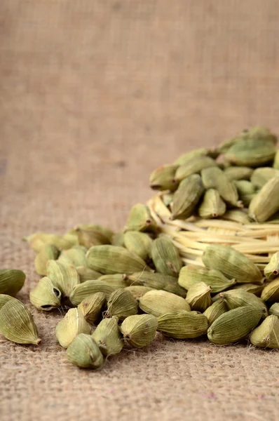 Green Cardamom pods — Stock Photo, Image