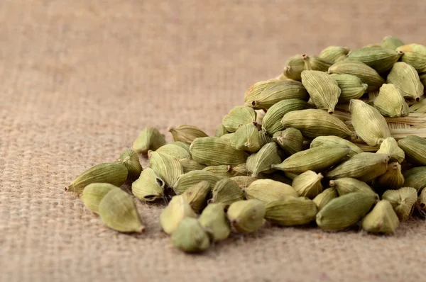 Green Cardamom pods — Stock Photo, Image