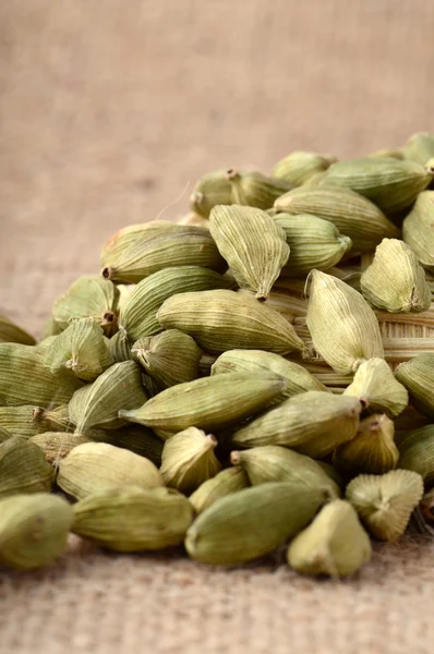 Green Cardamom pods — Stock Photo, Image