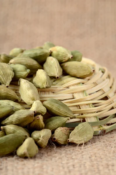 Green Cardamom pods — Stock Photo, Image