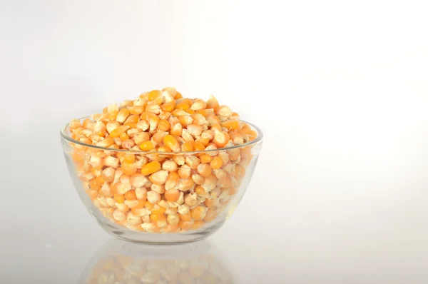 Dried corn in bowl — Stock Photo, Image