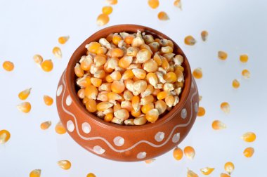 Toprak kap içinde kurutulmuş Mısır