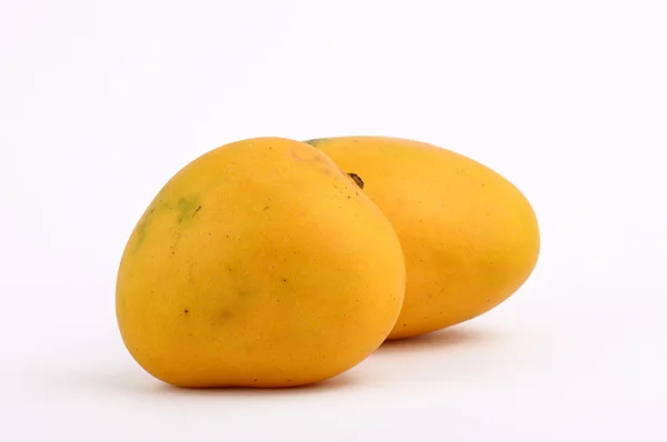 Mangofrucht — Stockfoto