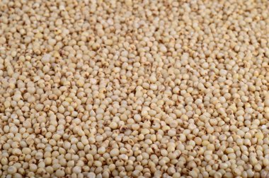 Jowar (sorgum) düzenlemek arka plan olarak, kapat.