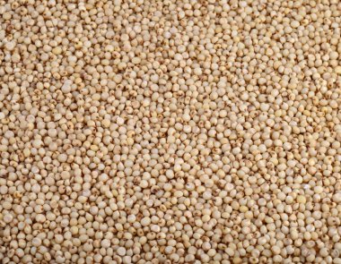 Jowar (sorgum) düzenlemek arka plan olarak, kapat.