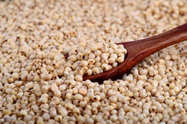 Tahta kaşıkla jowar (sorgum) yakın çekim.