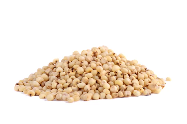 Heap of Jowar (Sorghum) sobre fundo branco, Fechar . — Fotografia de Stock