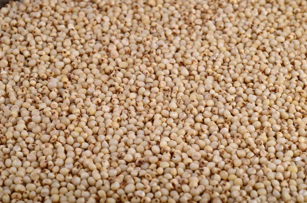 Sorghum (Sorghum) regelen als achtergrond, Close up. — Stockfoto