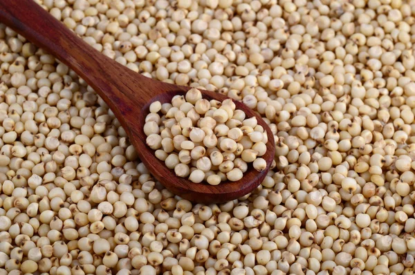 Close up de Jowar (Sorgo) com colher de madeira . — Fotografia de Stock