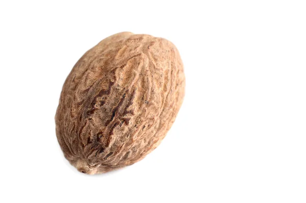 One Nutmeg isolated on white background — Stock Photo, Image