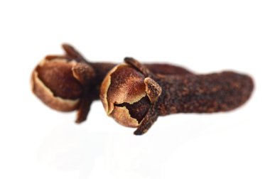 iki karanfil beyaz zemin üzerine izole