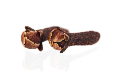 iki karanfil beyaz zemin üzerine izole