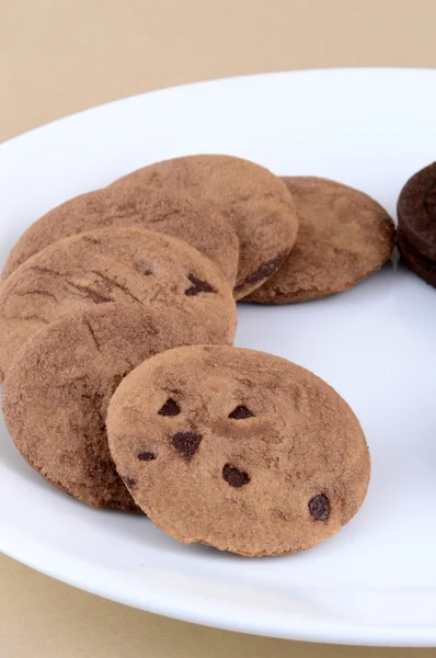 Chocolate Chip Cookie in plate — Stock Photo, Image