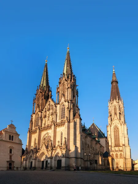 Catedral de São Venceslau — Fotografia de Stock