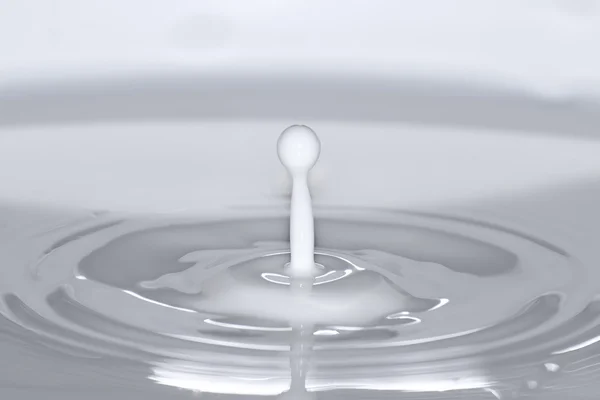 Het Detail van melk Drop — Stockfoto
