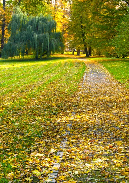 Estrada romântica no parque — Fotografia de Stock