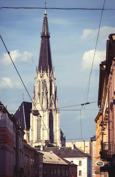 Saint Wenceslas Cathedral, Olomouc, Tjekkiet - Stock-foto
