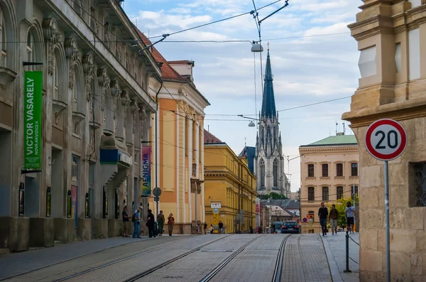 Szent Vencel-katedrális — Stock Fotó