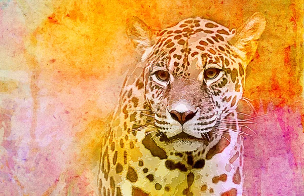 Illustration de Jaguar américain — Photo