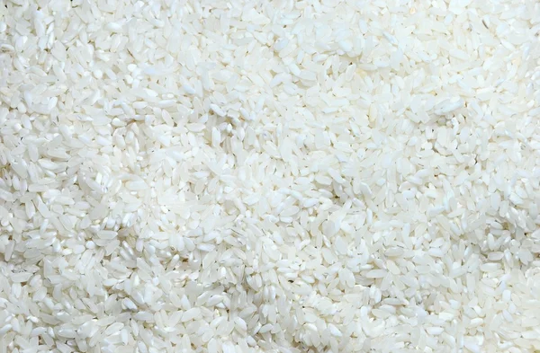 Arroz blanco, Fondo —  Fotos de Stock