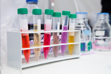 Test tüpleri rafa kimyasallarla