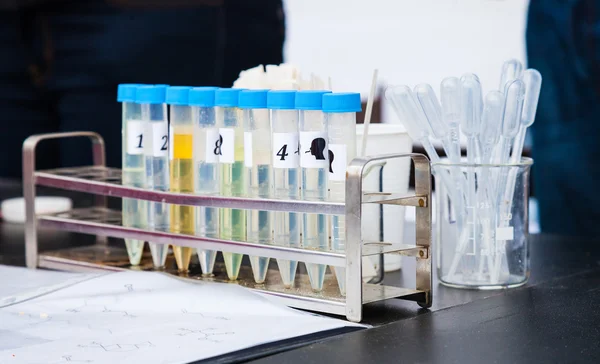 Test Tubes in Rack, Transfer Pipettes Next to Rack — Stock Photo, Image