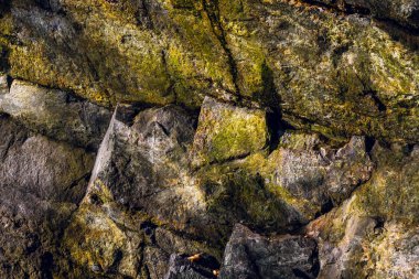 Yosun ve Doğal Yıpranmış Taş Yüzeyli Kaya Duvarı dokusu
