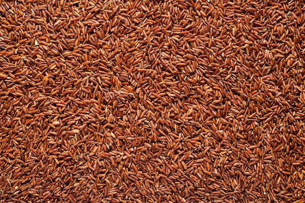 Fondo de arroz integral —  Fotos de Stock